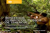 BENEFICIOS CLIMÁTICOS, COSTOS DE TENENCIA