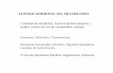 CONTROL HORMONAL DEL METABOLISMO Coordinación ...