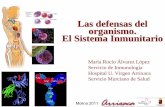 Estructura del Sistema Inmunitario