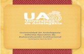 Informe Ejecutivo de Autoevaluación Institucional - Universidad de ...