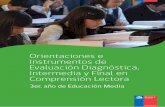 Orientaciones e instrumentos de evaluación diagnóstica, intermedia ...