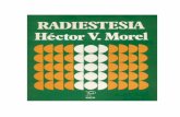 hector v. morel radiestesia: cuestionario integral