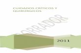 Cuidados al Pacientes Críticos y Quirúrgicos (pdf).