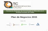 Plan de Negocios TC Transportadora Callao - 2015