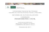 Informe de Autoevaluación Ingeniería Civil