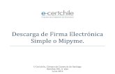 Descarga de Firma Electrónica Simple o Mipyme.