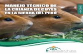 Manejo Técnico de la Crianza de Cuyes en la Sierra del Perú