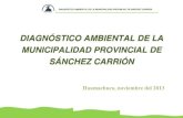 diagnóstico ambiental de la municipalidad provincial de sánchez ...
