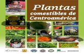 Plantas Comestibles de Centroamérica