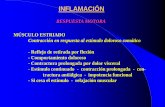 04 Respuesta inflamatoria aguda loco-regional postraumática Ia