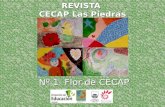 Revista "Flor de CECAP"