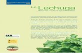La lechuga: manual para su cultivo ecológico