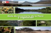 Guía de Inventario de la Flora y Vegetación