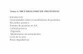 Tema 4: METABOLISMO DE PROTEINAS Introducción ...