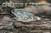 Anfibios y reptiles del entorno de Pinoso