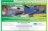 Neuroanatomía CURSO-TALLER en el cadáver para Enfermería y ...