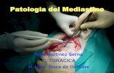 09 Patologia del mediastino ppt