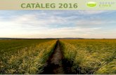Catàleg Sefed ebre 2016 català