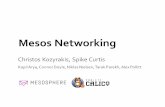 Mesos Networking