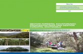 Sector forestal ecuatoriano- propuestas para una gestión forestal ...