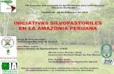 Revisión de Iniciativas Silvopastoriles en la Amazonía Peruana