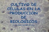 Tecnología de cultivos celulares en investigación, producción de ...