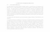 CAPÍTULO II: DIABETES MELLITUS 2.1 Antecedentes Históricos La ...