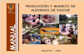 Producción y manejo de alevinos de Paiche