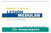 Análisis sobre la lesión medular en España.