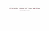 Apuntes de Cálculo en Varias Variables