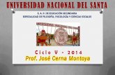 Profesor José E. Cerna Montoya