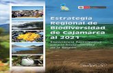 Peru SBSAP - Cajamarca Region (Spanish version)