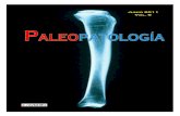 Paleopatología, 9