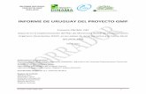 informe Uruguay proyecto GMP 1-borrador
