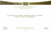 La Abeja de Miel Reina Fértil UAEM: Facultad de Química M. en ...
