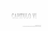 CAPITULO Vl PLAN DE NEGOCIOS DE EXPORTACION