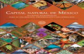 Capital Natural de México. Acciones Estratégicas para su valoración ...