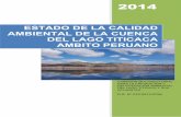 Estudio del estado de la calidad ambiental de la cuenca del Titicaca.