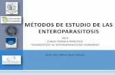 métodos de estudio de las enteroparasitosis