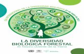 La Diversidad Biológica Forestal - El Tesoro viviente de la Tierra