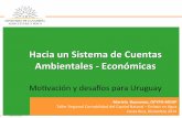 Hacia un Sistema de Cuentas Ambientales - Económicas