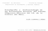 Estratigrafía y Sedimentología de las formaciones lacustres del ...