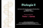 Mendoza, L. et al., Biología II Examen resuelto Parte 1. Genes