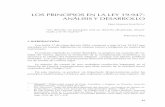 LOS PRINCIPIOS EN LA LEY 19.947: ANÁLISIS Y DESARROLLO