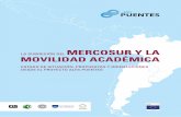 La subregión del Mercosur y la Movilidad Académica