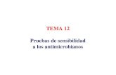 TEMA 12 Pruebas de sensibilidad a los antimicrobianos