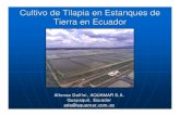 ISTA 7 - Cultivo de Tilapia en Ecuador