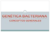 Genética bacteriana 2013 med