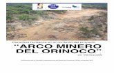 informe sobre el Arco Minero entregado