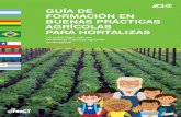 Guia de Formacion en Buenas Practicas Agricolas para hortalizas